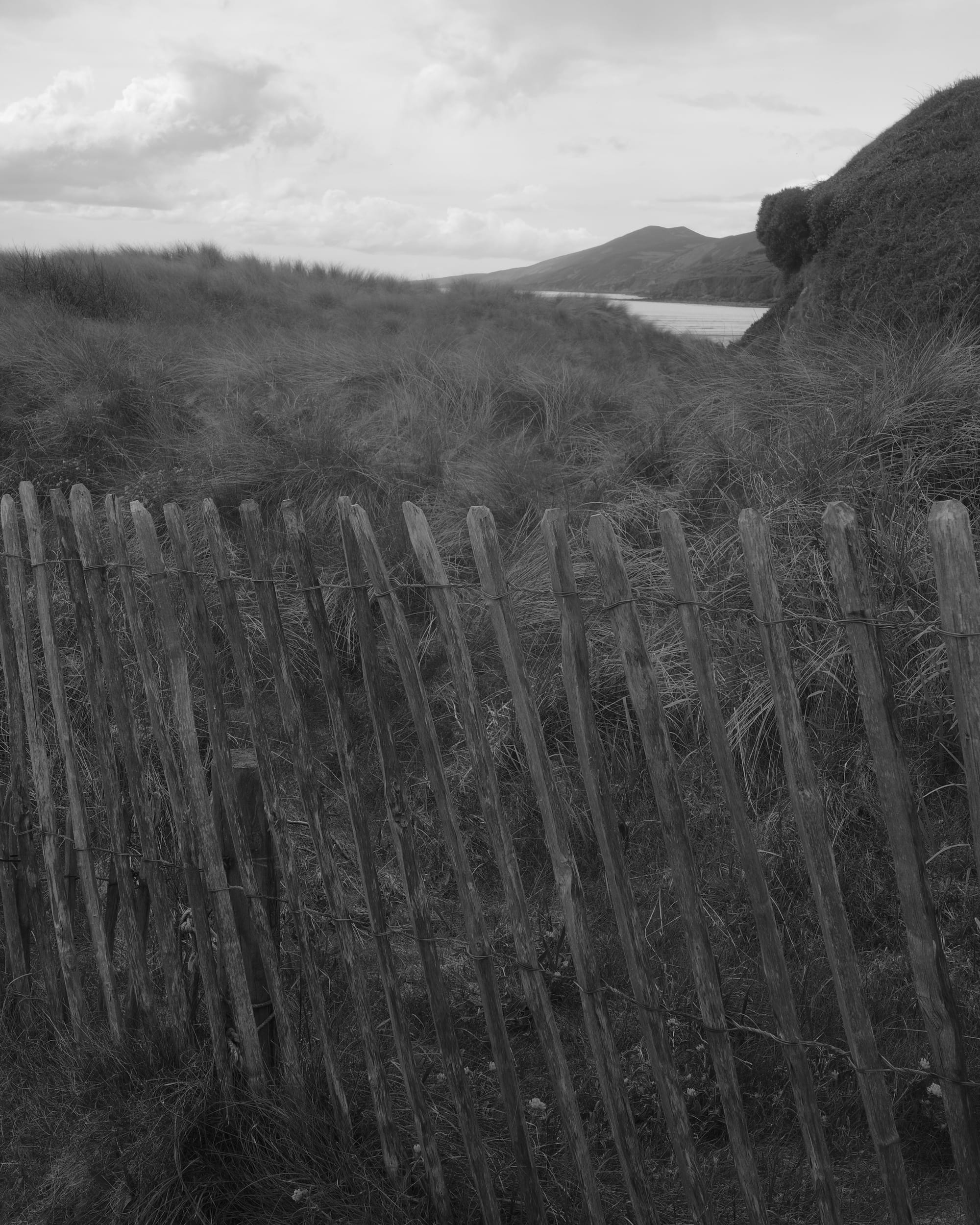 After Paul Strand